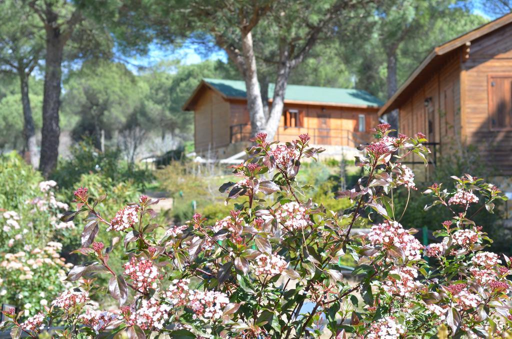 Apartamentos Paraje San Gines Andujar Exterior photo